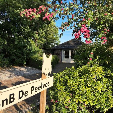 Bnb De Peelvos Deurne Eksteriør bilde